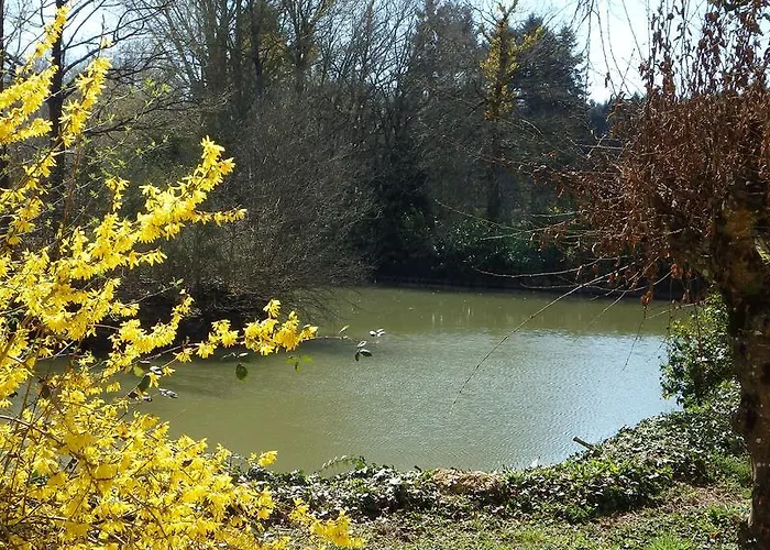 ゲストハウス Chateau De Blavou Normandie Saint-Denis-sur-Huisne